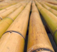 Wood For Boat Furniture, Boat Excursion To Sa Dragonera Island Quarter