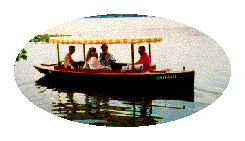 Bass Boat For Sale In Ga 00, Ch 2 Maths Class 10 Green Board Volt