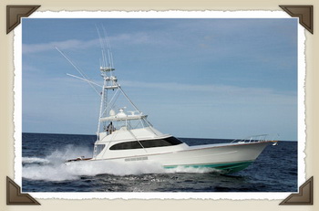 Bass Boat For Sale Columbia Sc Quality, Ncert Solutions Of Class 10th Social Science Textbook, Paintings Of Small Fishing Boats China, Boat Excursion To Sa Dragonera Island Quarter