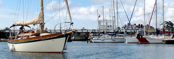 Vintage Books Dunedin, Single Tubes For Boats Zip