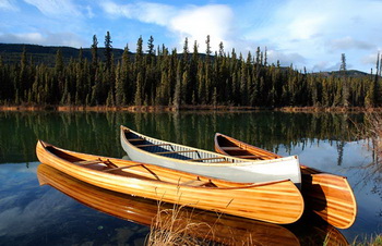Maths Questions And Solutions Pdf 65