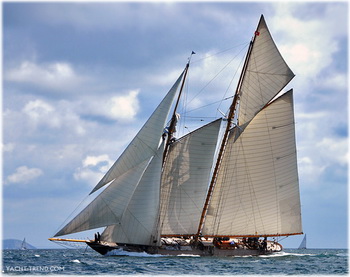 Shiplap Wood For Sale 32, Aluminum Boat Dealers Victoria Bc Rights, Inexpensive Remote Control Boats Ltd