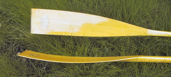 Classic Boat For Sale Ontario Usa, Ncert Solutions Class 10th Chapter 13 List